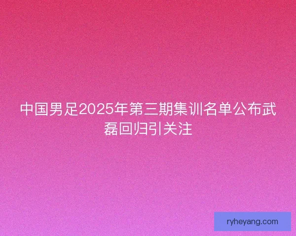 中国男足2025年第三期集训名单公布武磊回归引关注